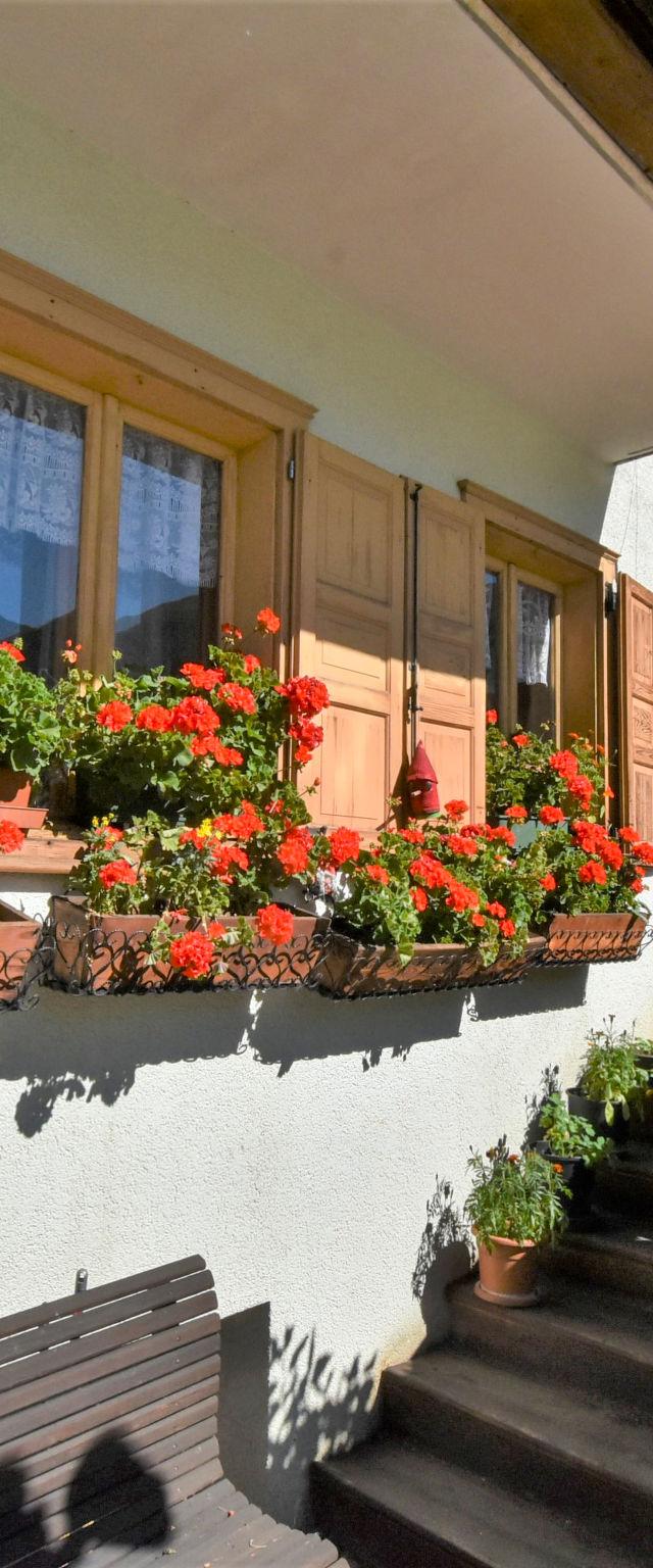 Casa Confortina – billede 19