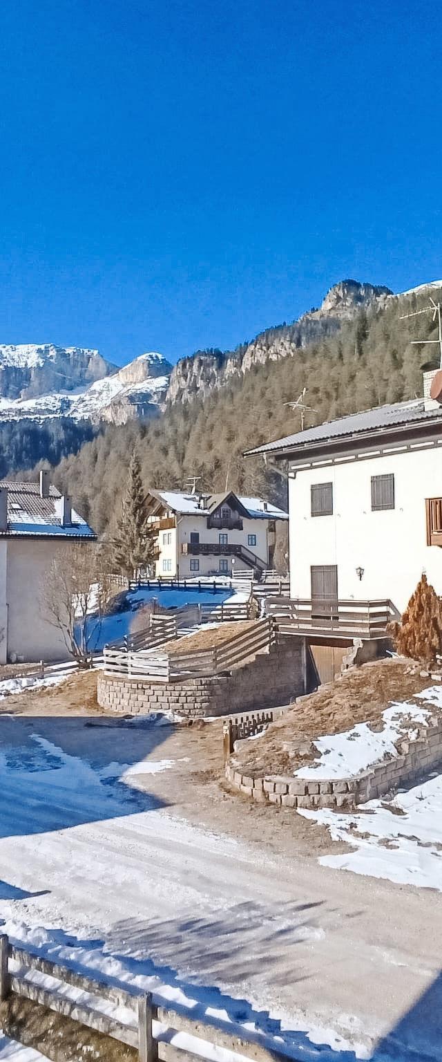 Cesa sot Larsec – billede 5
