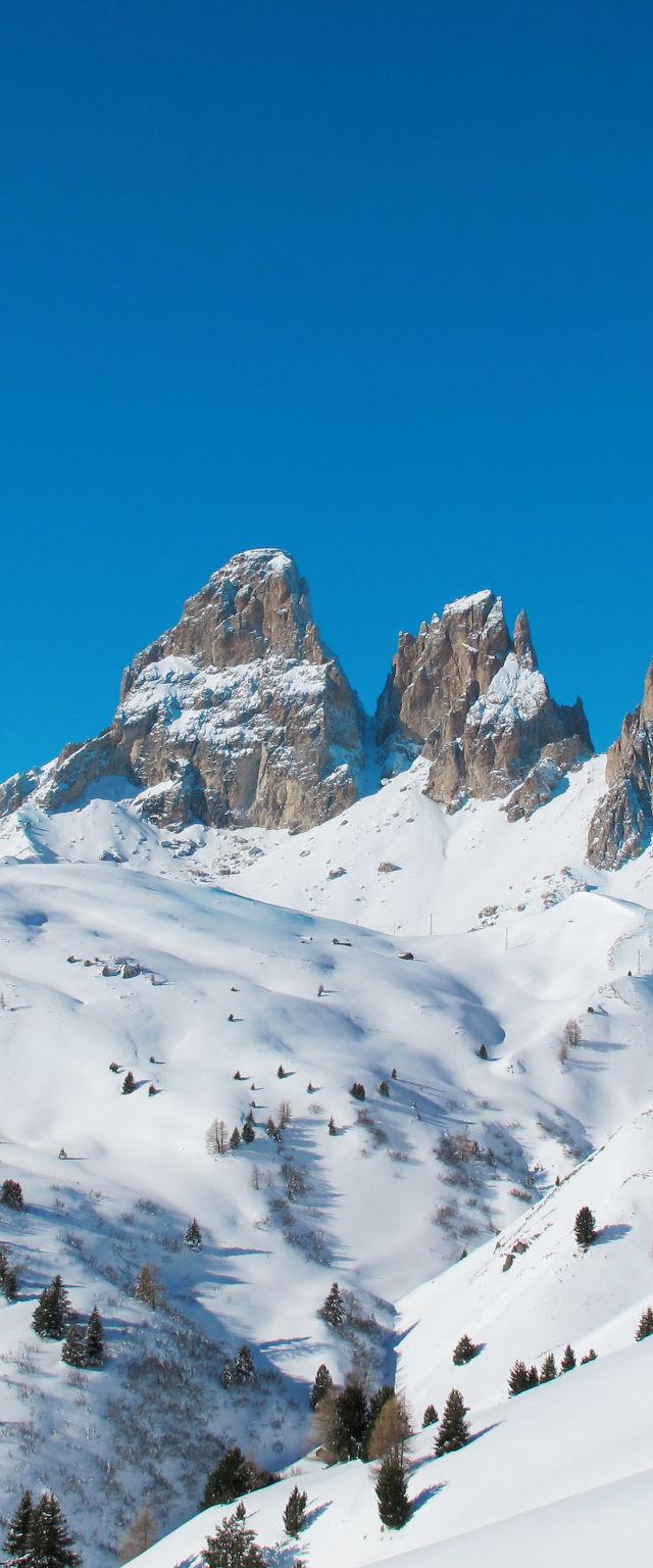 Fontanelle – billede 37