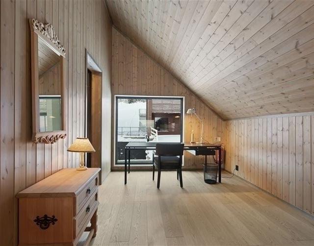 FAVN CHALET 29C – bild 14