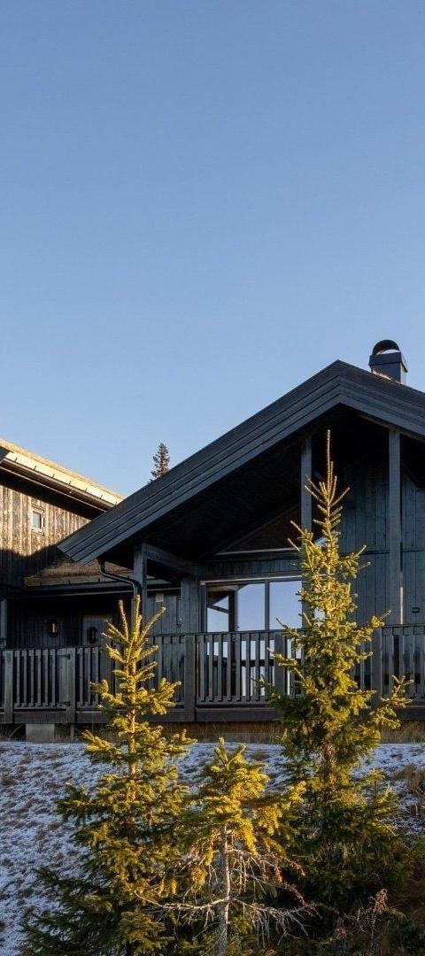 KRONRØYSA 48 – Hafjell