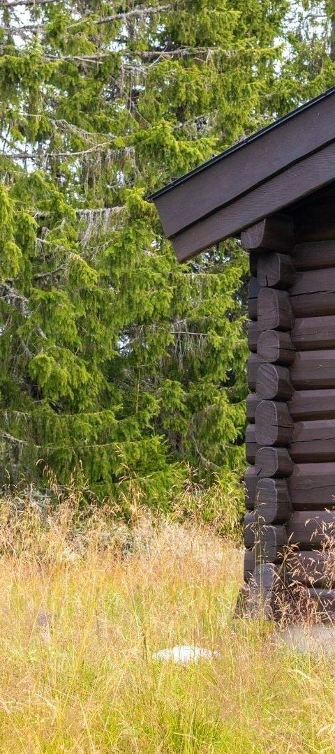 VARDVEGEN 29 – Hafjell