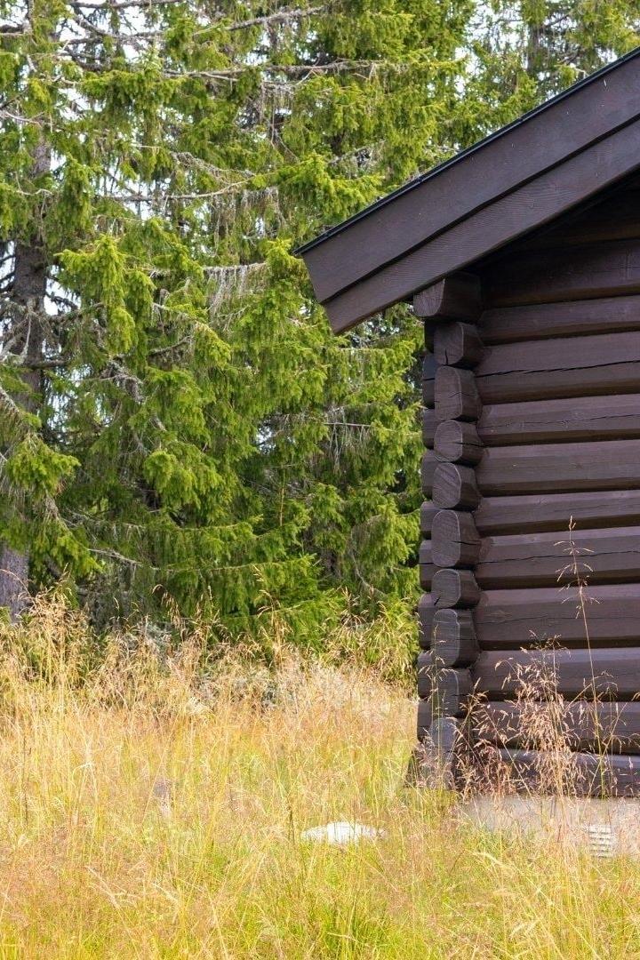 VARDVEGEN 29 – VARDVEGEN 29