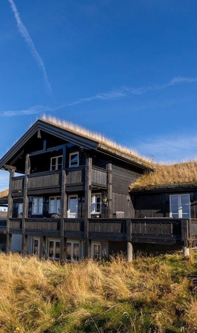 MOLTMYRVEGEN 9