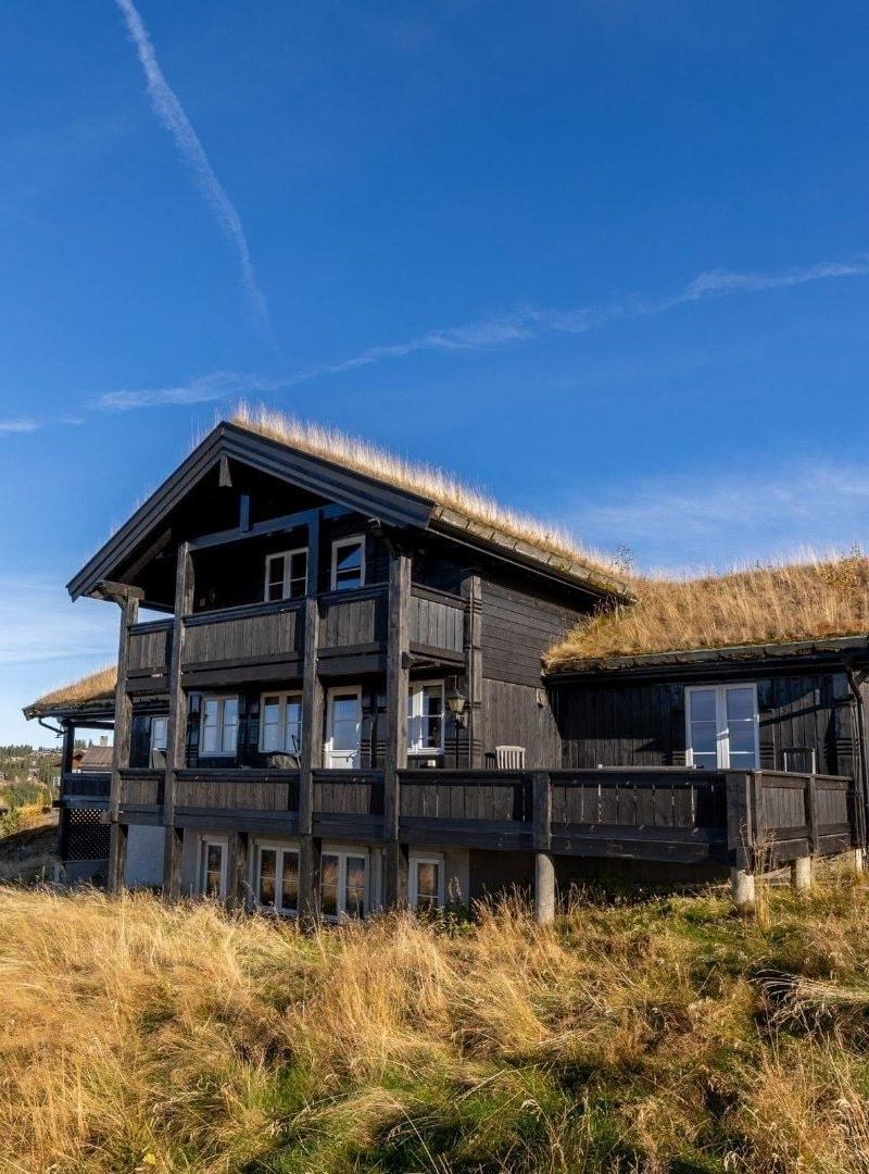 MOLTMYRVEGEN 9