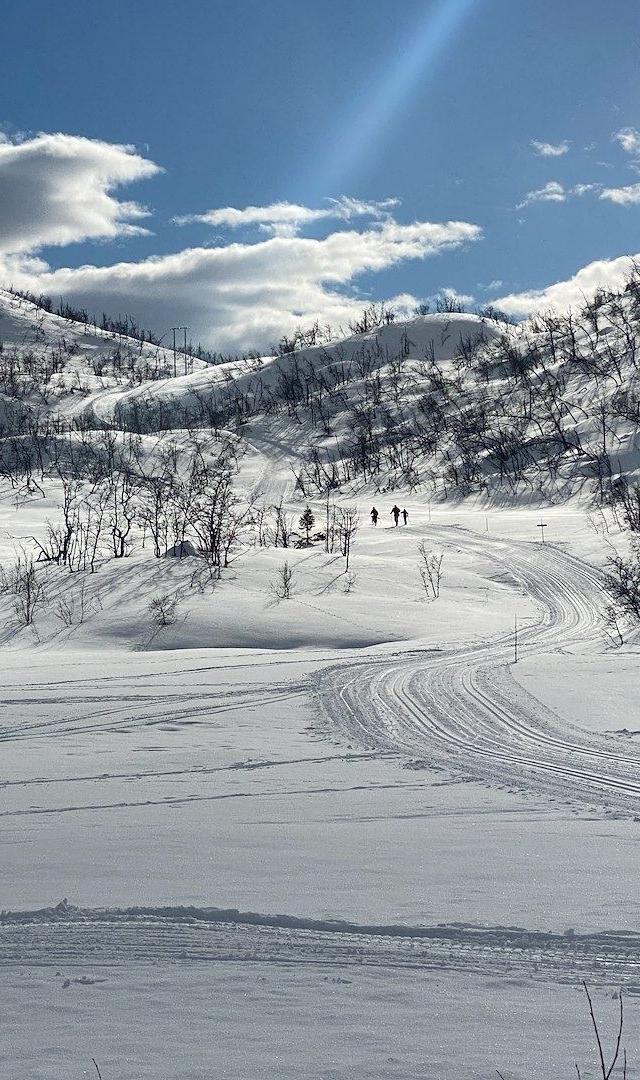 Rennedalen Mountain Cabins – bild 30