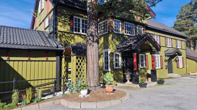 Geilo Mountain Lodge – billede 14
