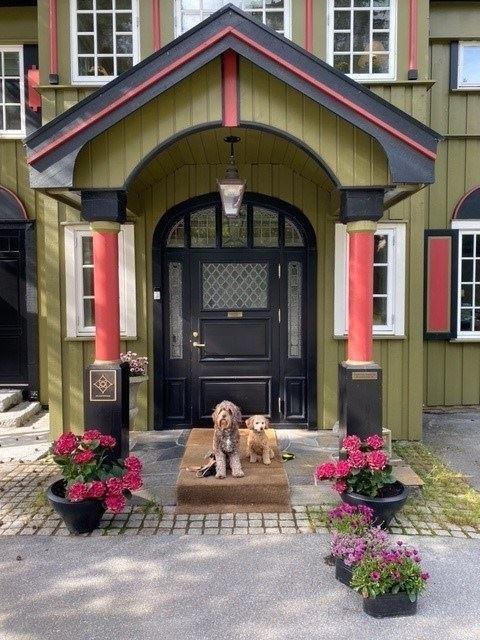 Geilo Mountain Lodge – billede 13