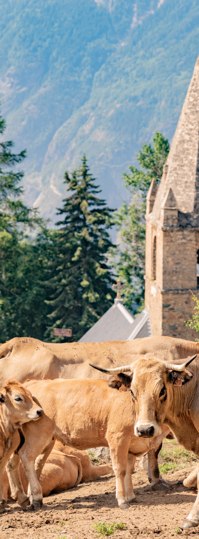 Alpe d'Huez - billede 23
