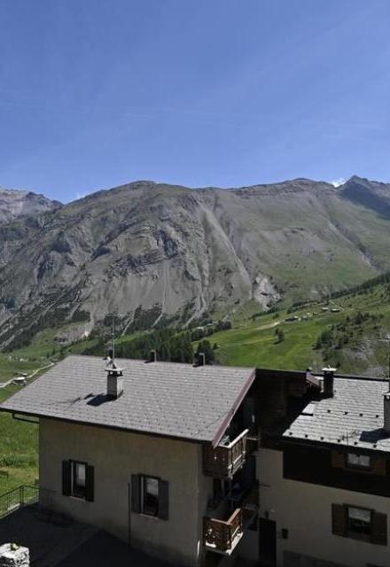 Alpinea – billede 3