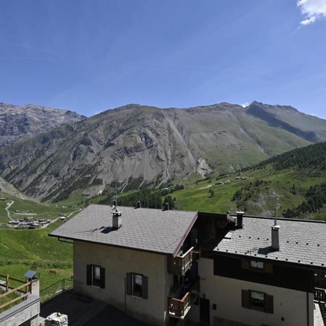 Alpinea – bild 3