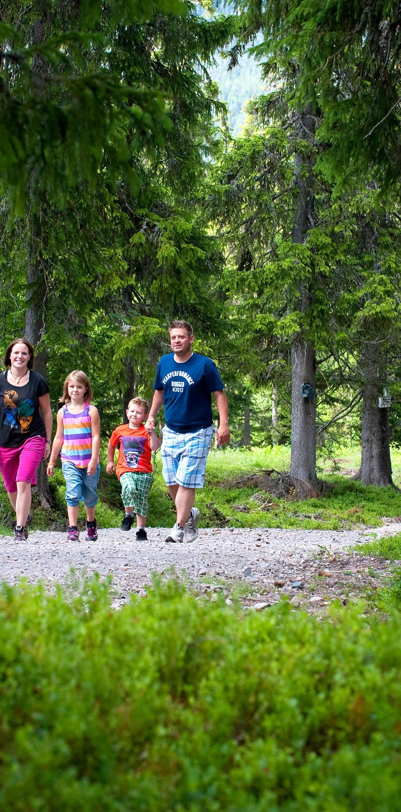 Horizon Lodge, Sälen