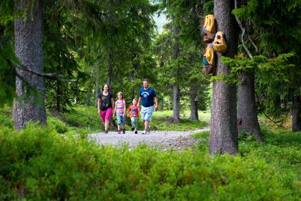 Fjällgläntan – bild 5