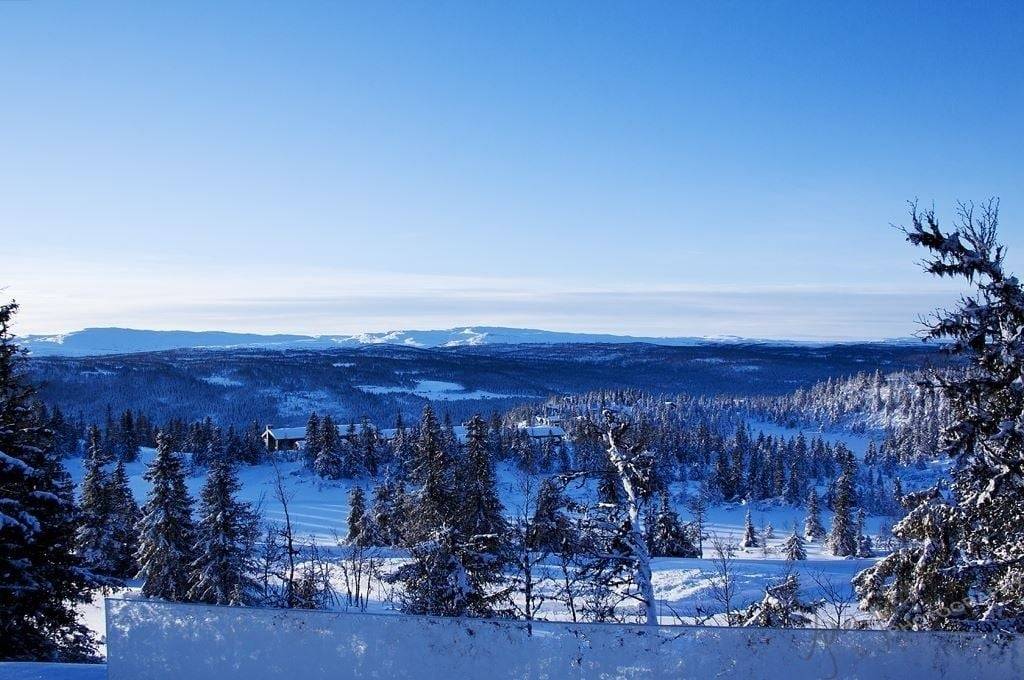 KVITFJELLTOPPEN 37, Kvitfjell