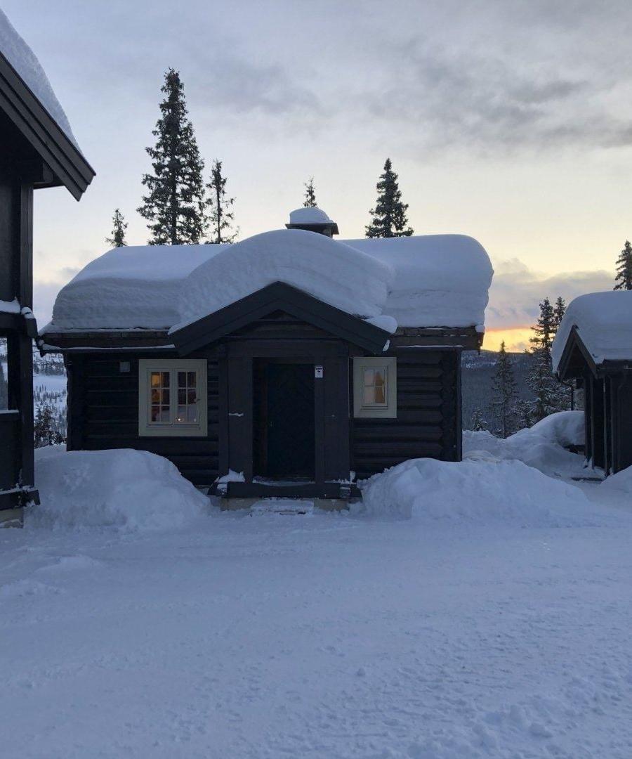 BJØNNLISKARDET 25