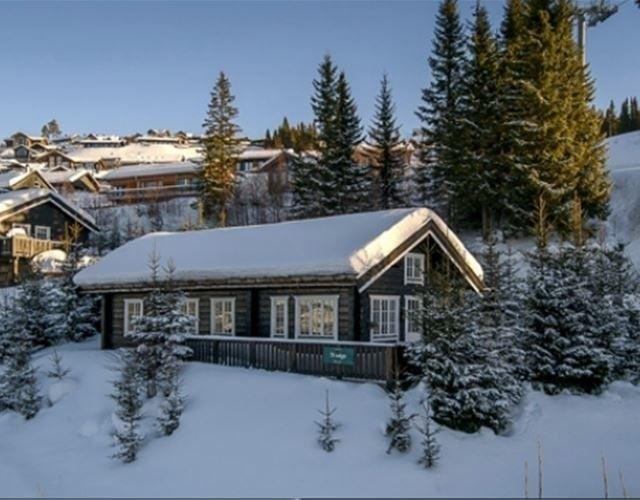 HAFJELL FJELLANDSBY 100 – bild 15