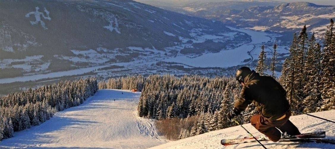 FAVN CHALET 31B, Hafjell