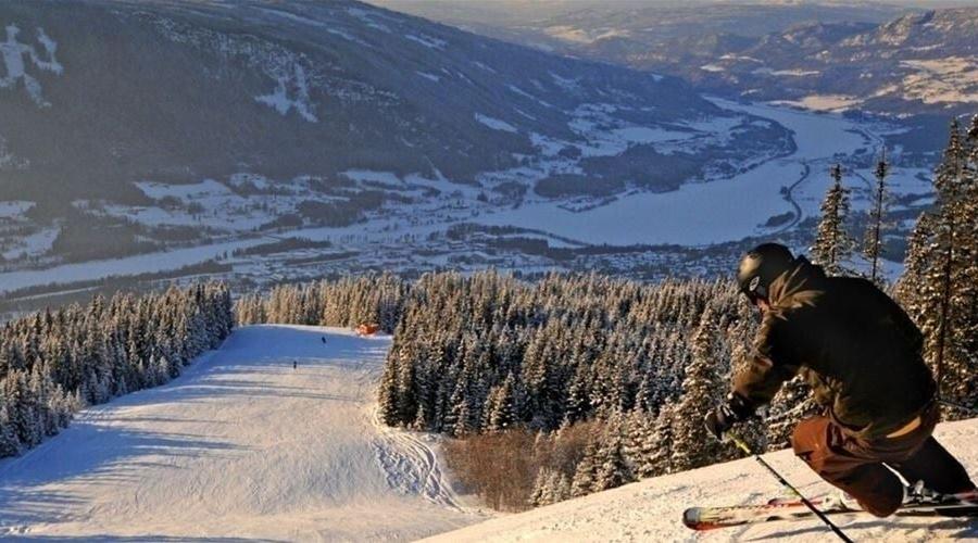 FAVN CHALET 31B