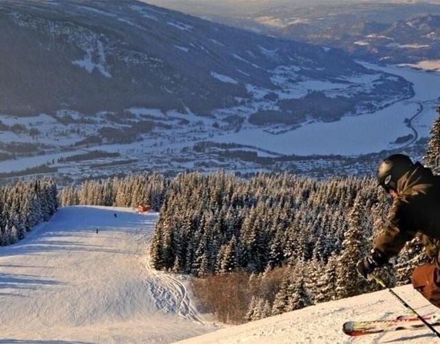 FAVN CHALET 31B