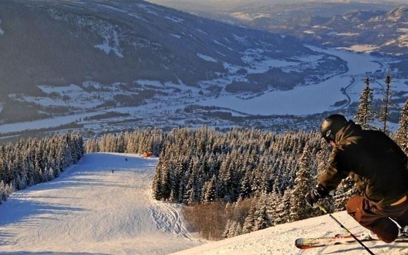 FAVN CHALET 31B