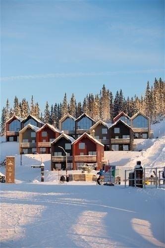 FAVN CHALET 31B – bild 4