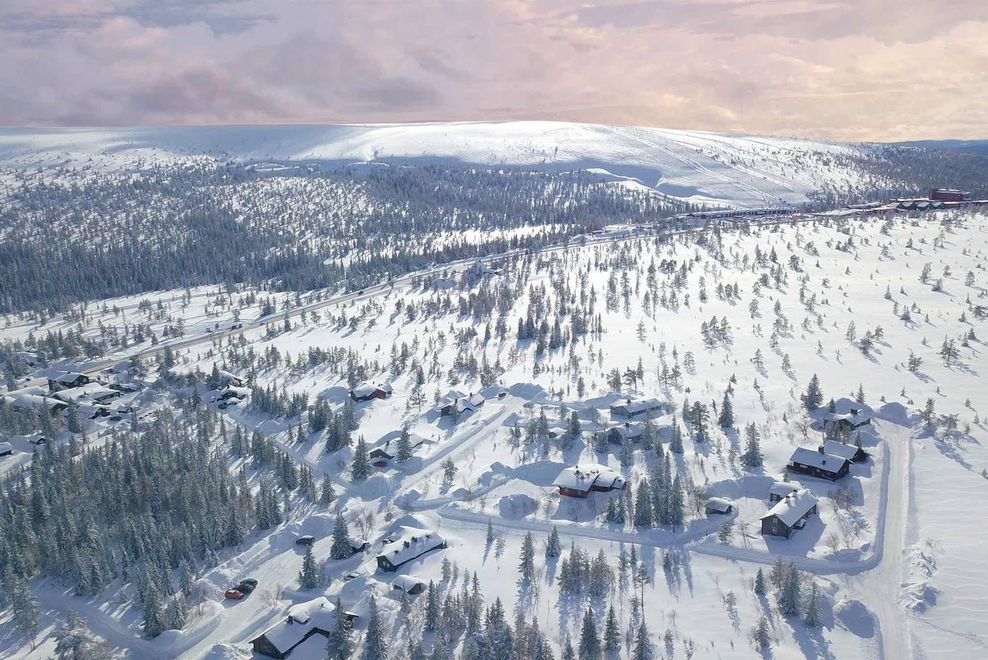 Köarskär, Sälen