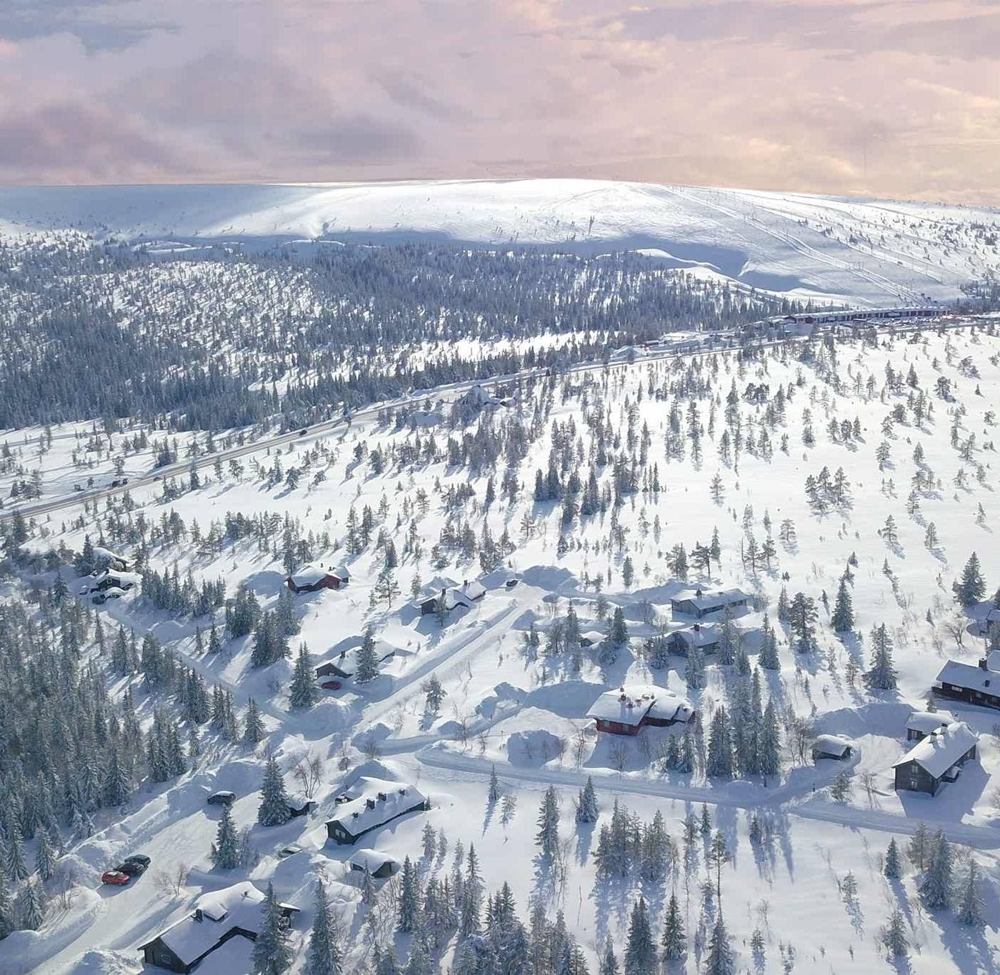 Köarskär, Sälen