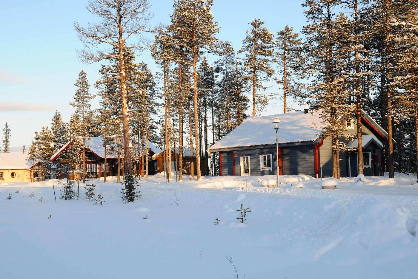 Dammkölen, Sälen