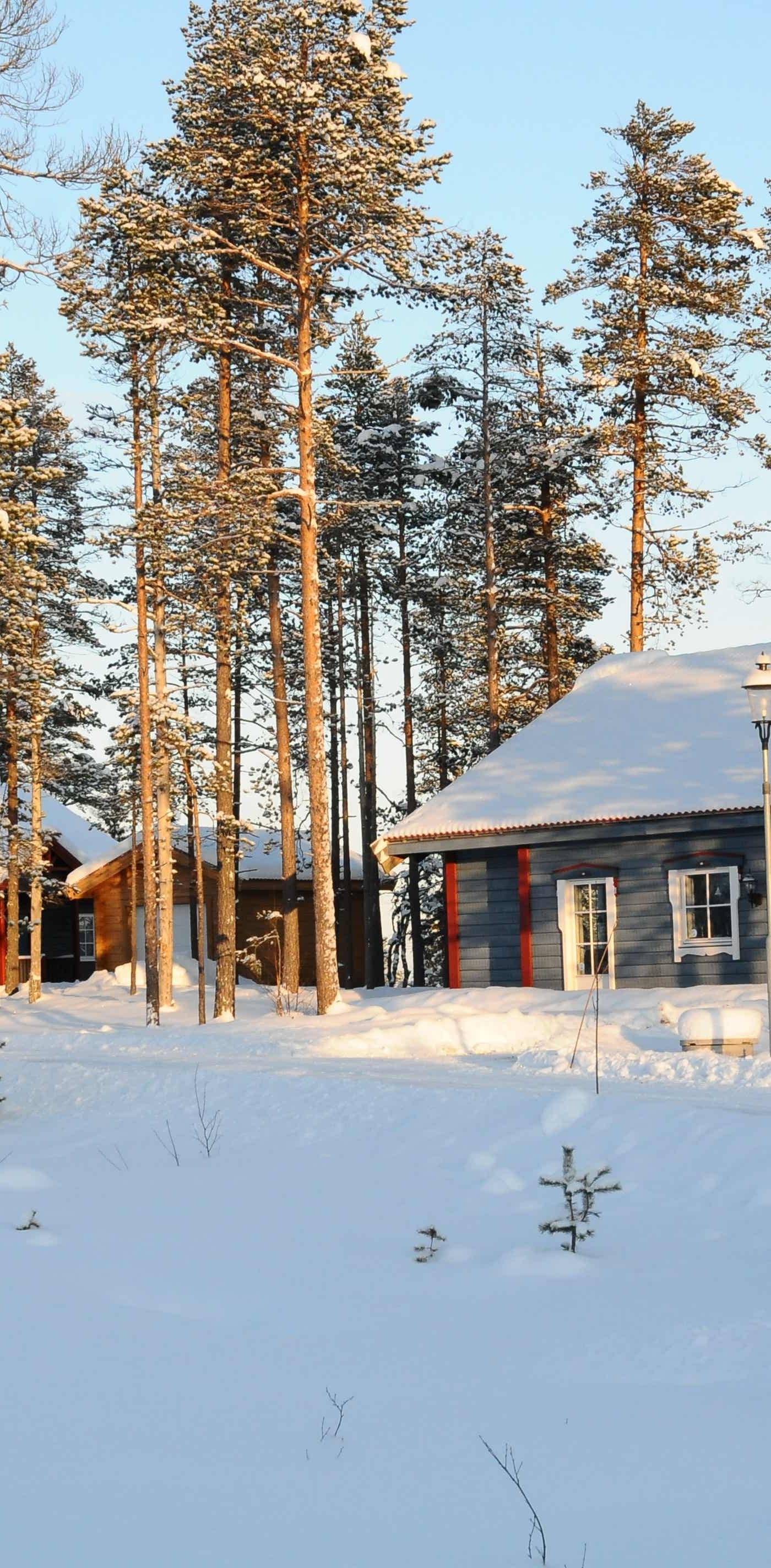 Dammkölen, Sälen