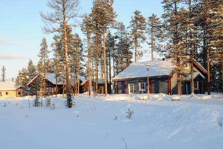 Dammkölen – bild 1