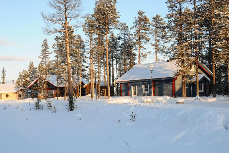 Dammkölen