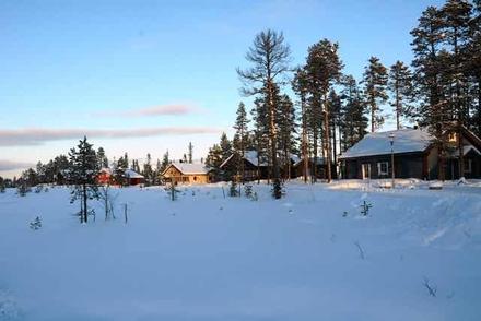 Dammkölen – bild 2