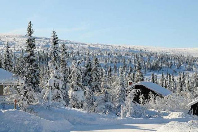 Sälfjällstangen – billede 2