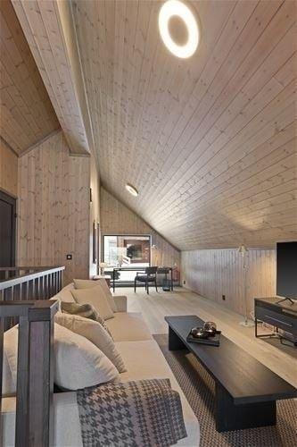 FAVN CHALET 29C – bild 36