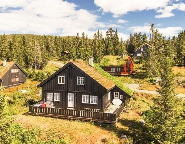 VARDVEGEN 87 – bild 25