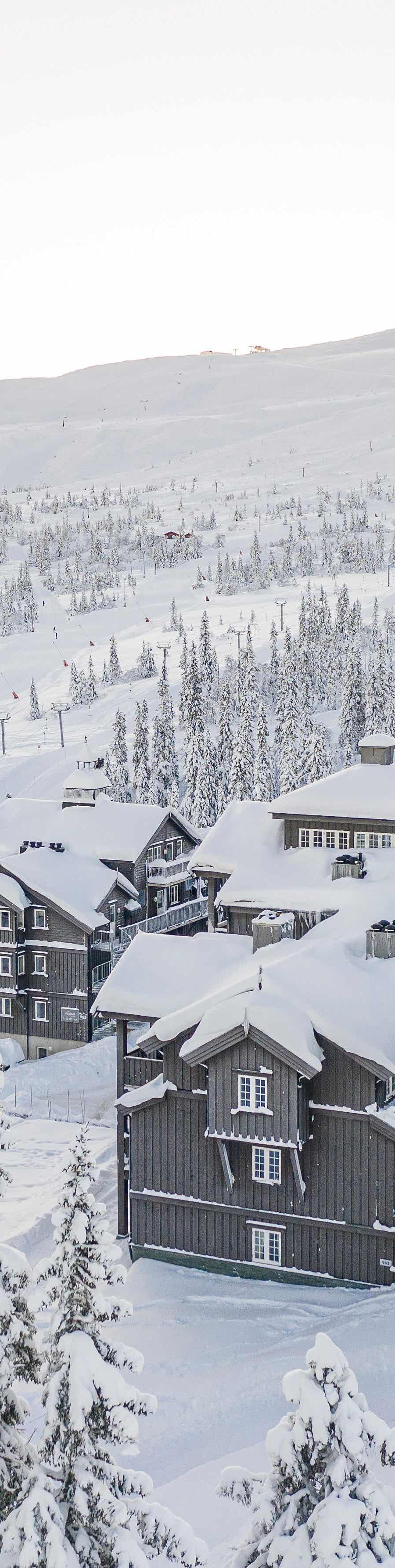 Aasgard Fjelltun