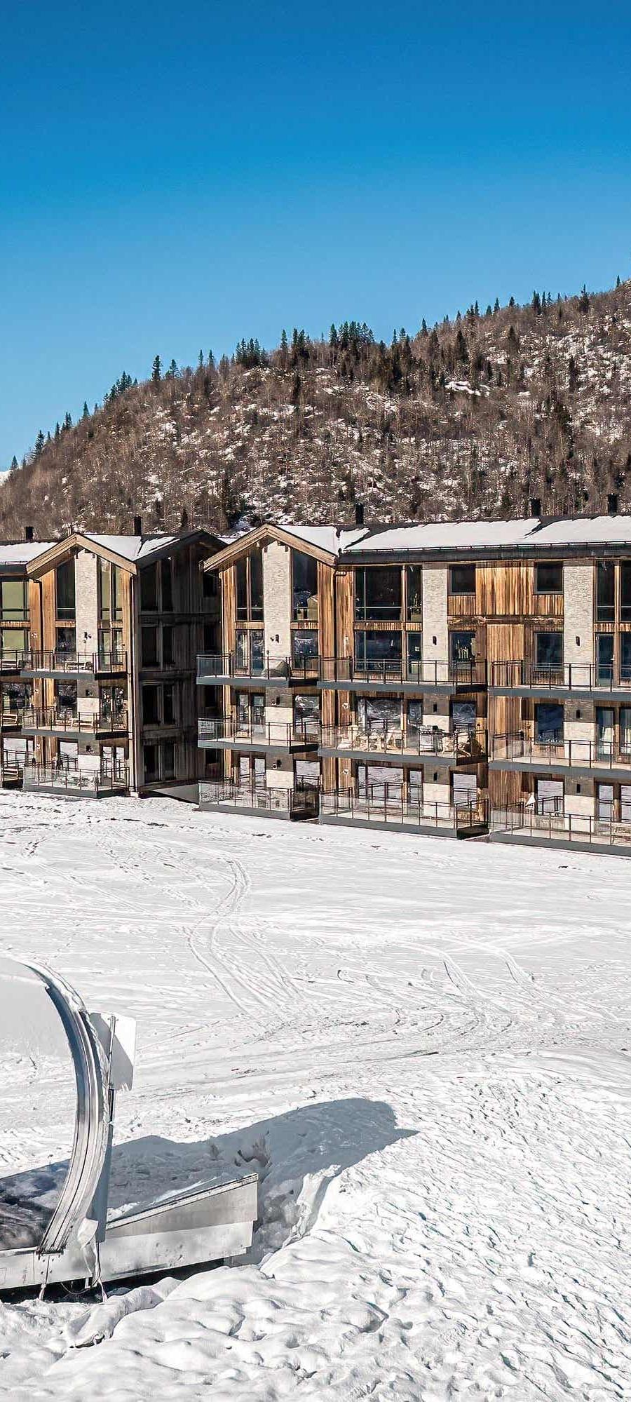 Fjellnest