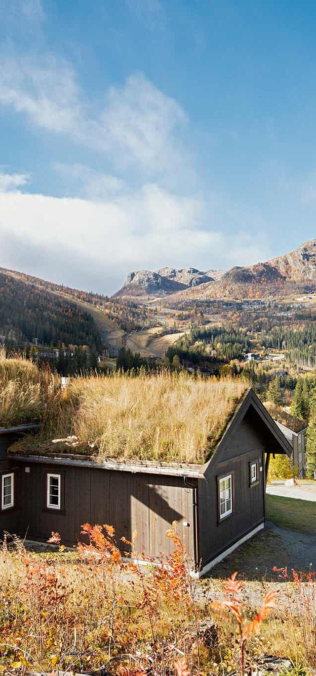 Hemsedal Ski Centre stugor – bild 2