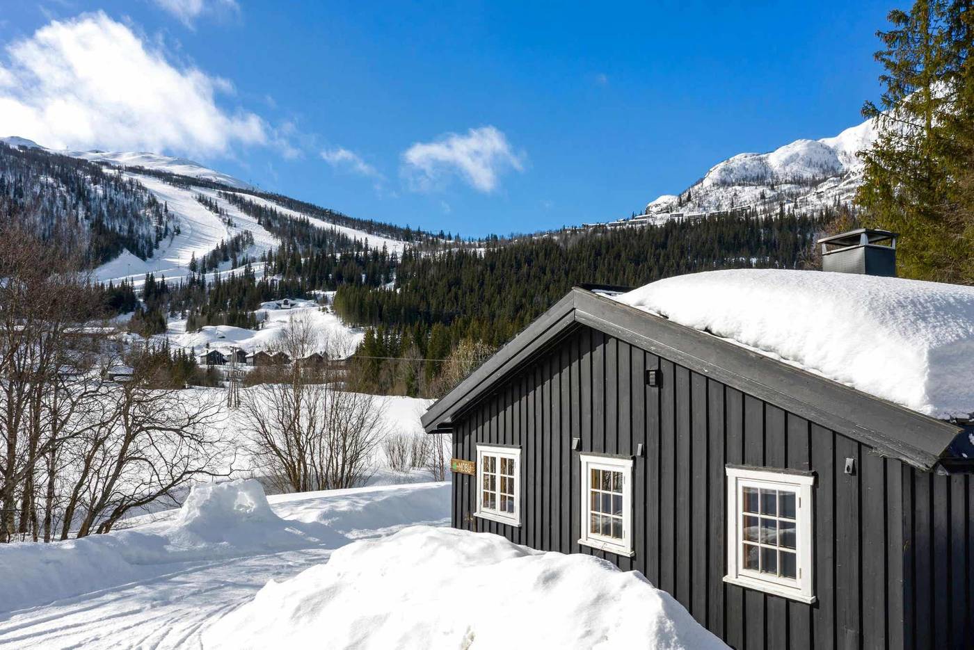Hytter Hemsedal Skisenter, Hemsedal