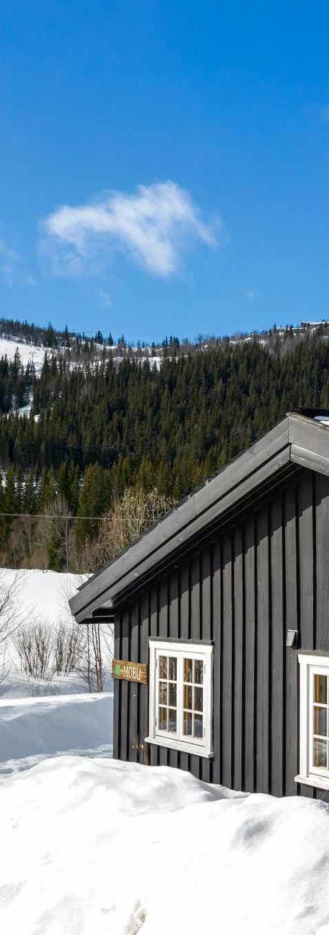 Hemsedal Ski Centre stugor – Hemsedal