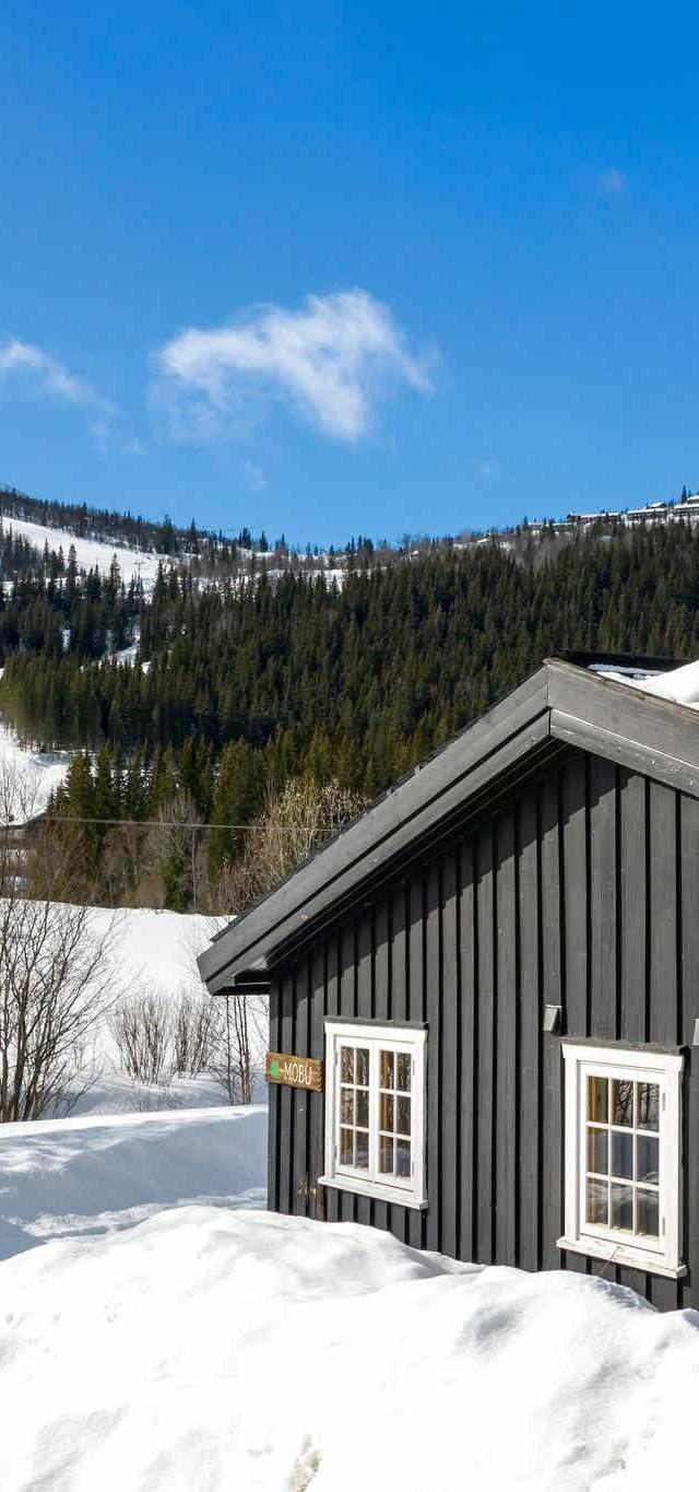Hemsedal Ski Centre stugor