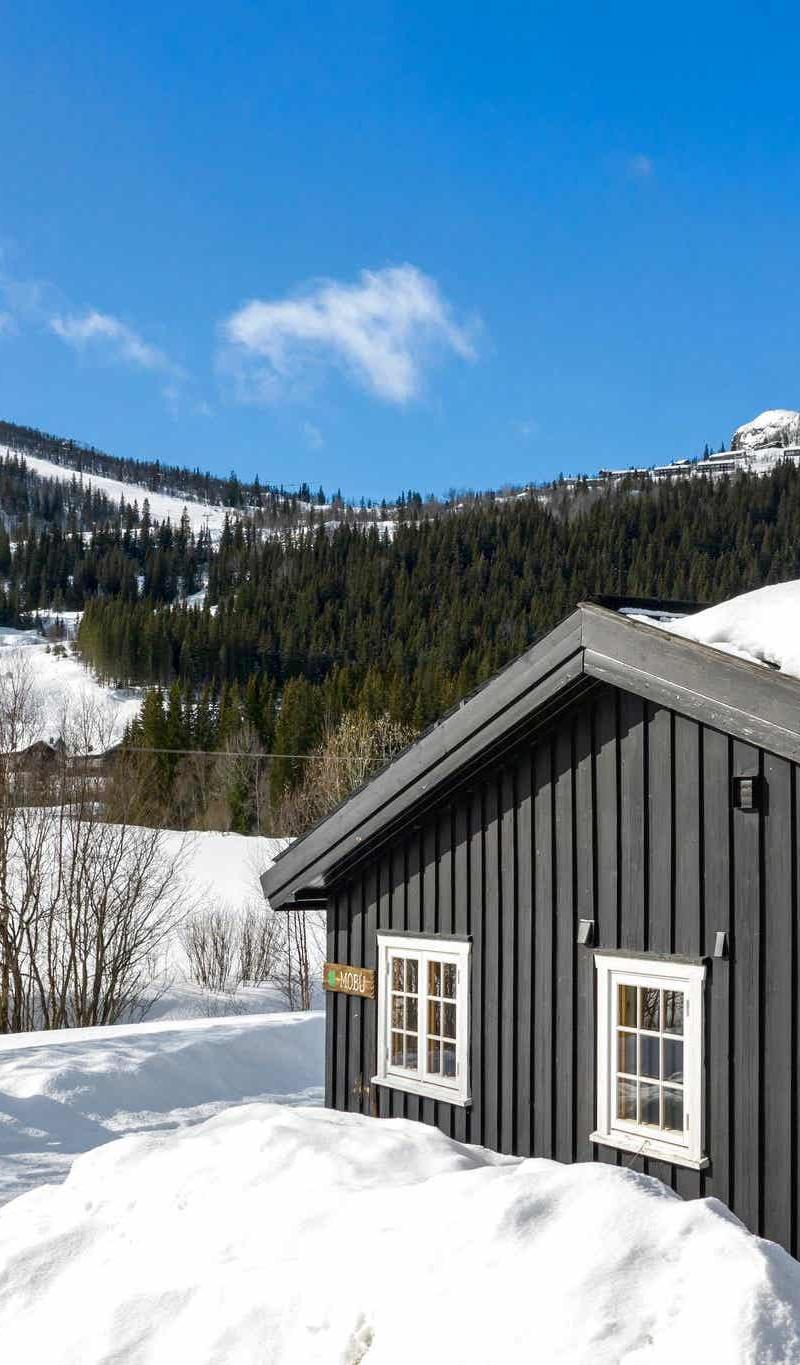 Hemsedal Ski Centre stugor