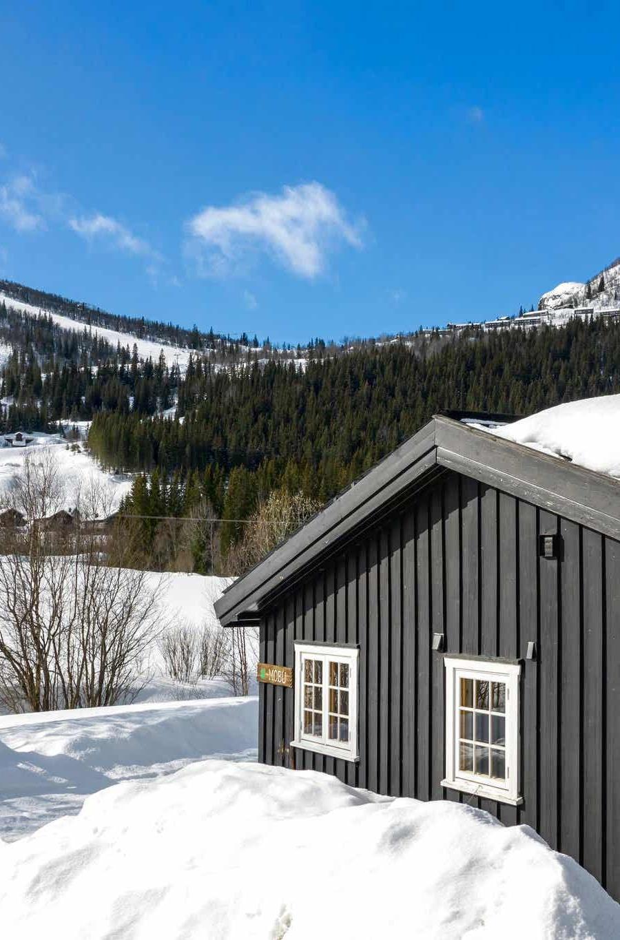 Hemsedal Ski Centre stugor