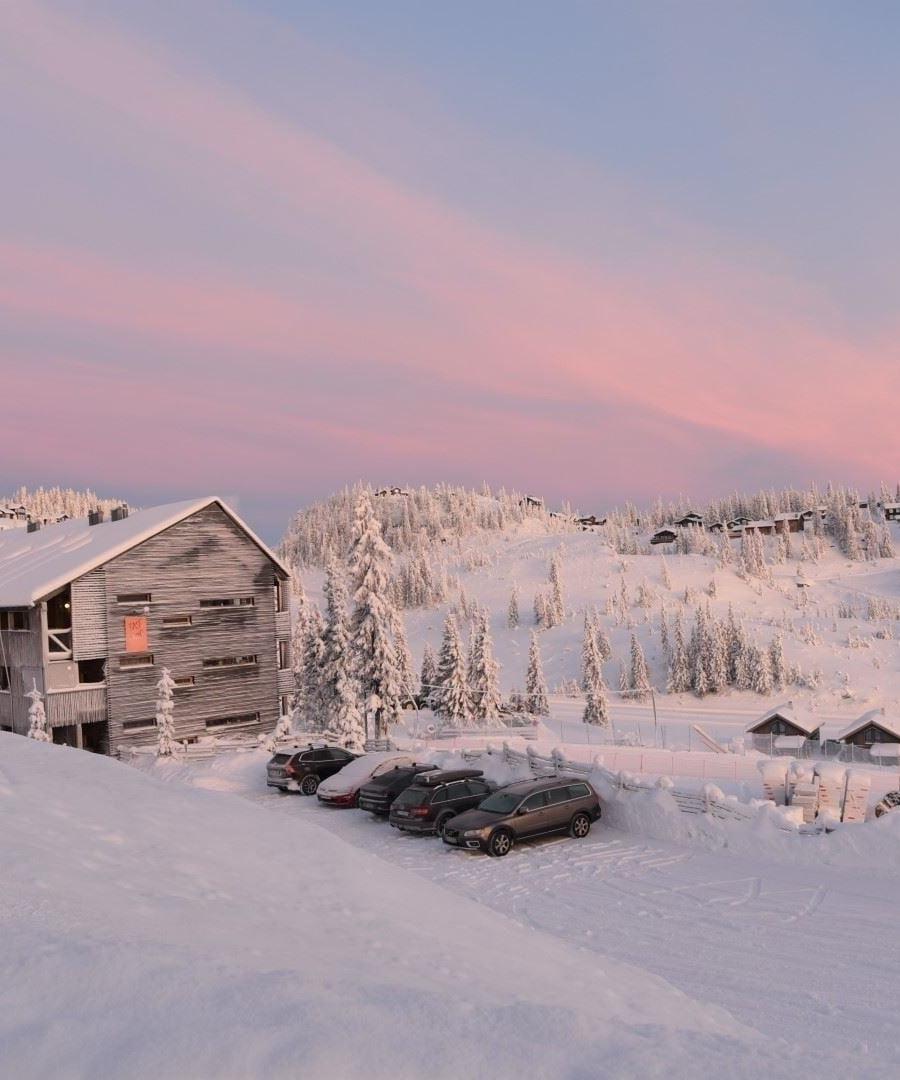 BASE CAMP 233