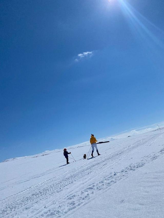 Rennedalen Mountain Cabins – billede 12