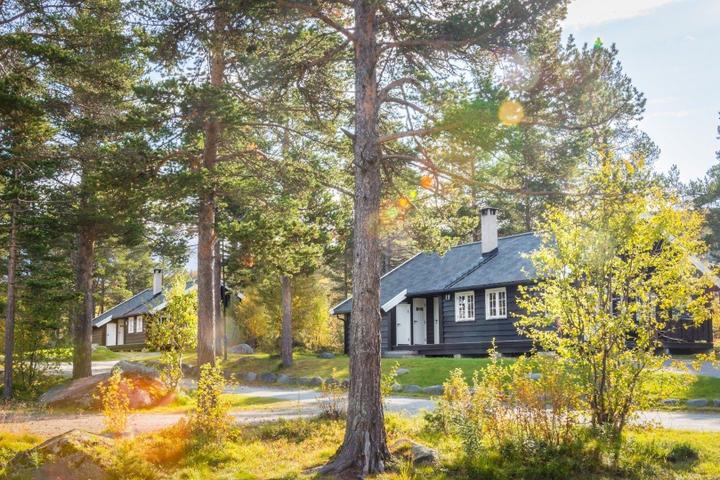 Standardhytte med 4 soveværelser/10 senge - Geilolia Hyttetun – Geilolia Hyttetun og lejligheder (1/6)