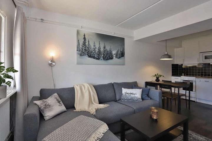 Åre By – Åre Fjällby Studio 313 – 0 soveværelser, 4 senge, 30m2 – Åre Fjällby (1/17)