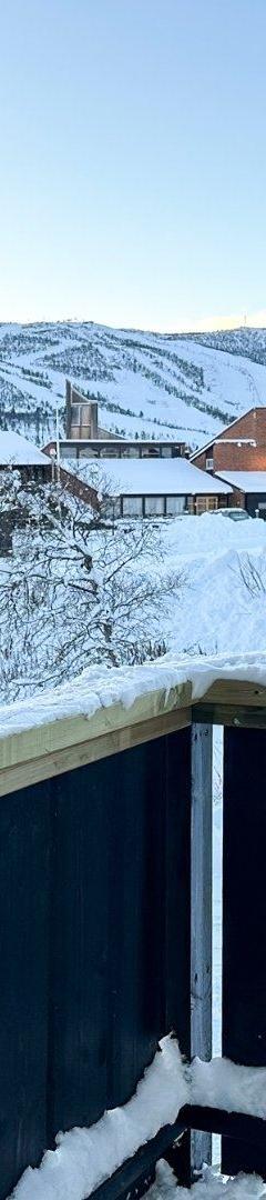Geilolia Ferieleiligheter - 2 soverom/8 sengepladser - Geilo centrum – Geilolia Hyttetun og lejligheder