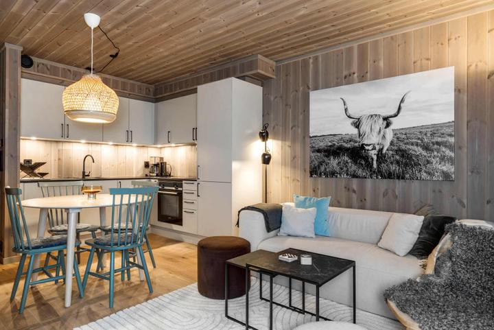 Fjellandsbyen Hemsedal B406 – Fjellandsbyen (1/16)