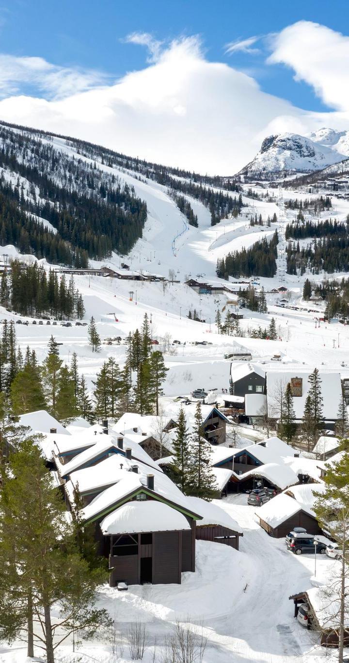 Hemsedal Skisenter - ALPIN APARTMENT 1 - 1 soveværelser, 4 senge, 38m2 – Alpin Apartment